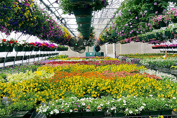 Duerrs Greenhouse - Merrimack Valley and Southern New Hampshire premier greenhouse